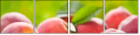 42496953