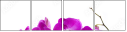 42647763