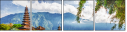 42728202