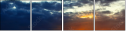 42751455