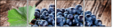 43617852