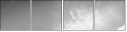 43631199