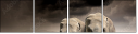 43670148