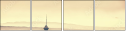 43690835