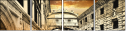 43787376