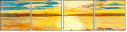 43858845