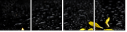 43880281