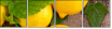 43956293