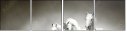 44040199