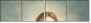 44247495