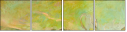 44331556