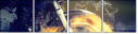 44513286