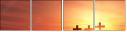 44589020