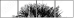 44646006