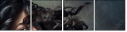 44726550