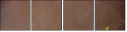 44772824