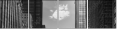 44846834
