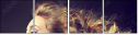 44914294