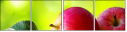 44945564