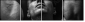 45026445