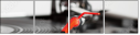 45194495