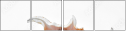 45257872