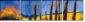 45337406