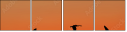 45440307