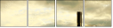45470449