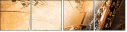 45515921