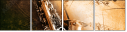 45516171