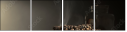 45539882