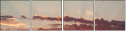 45542699