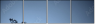 45608102