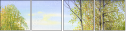 45639970