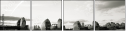 45724914