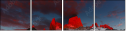 45786982