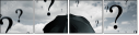 45925119