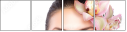 45956799