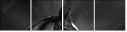 46196337
