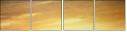 46459823