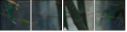 46669646