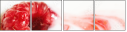 4684594