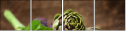 47068124