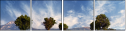 4707314