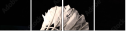 47111850