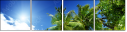 47282990