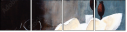 47559691