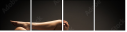 47591898