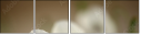 47729615